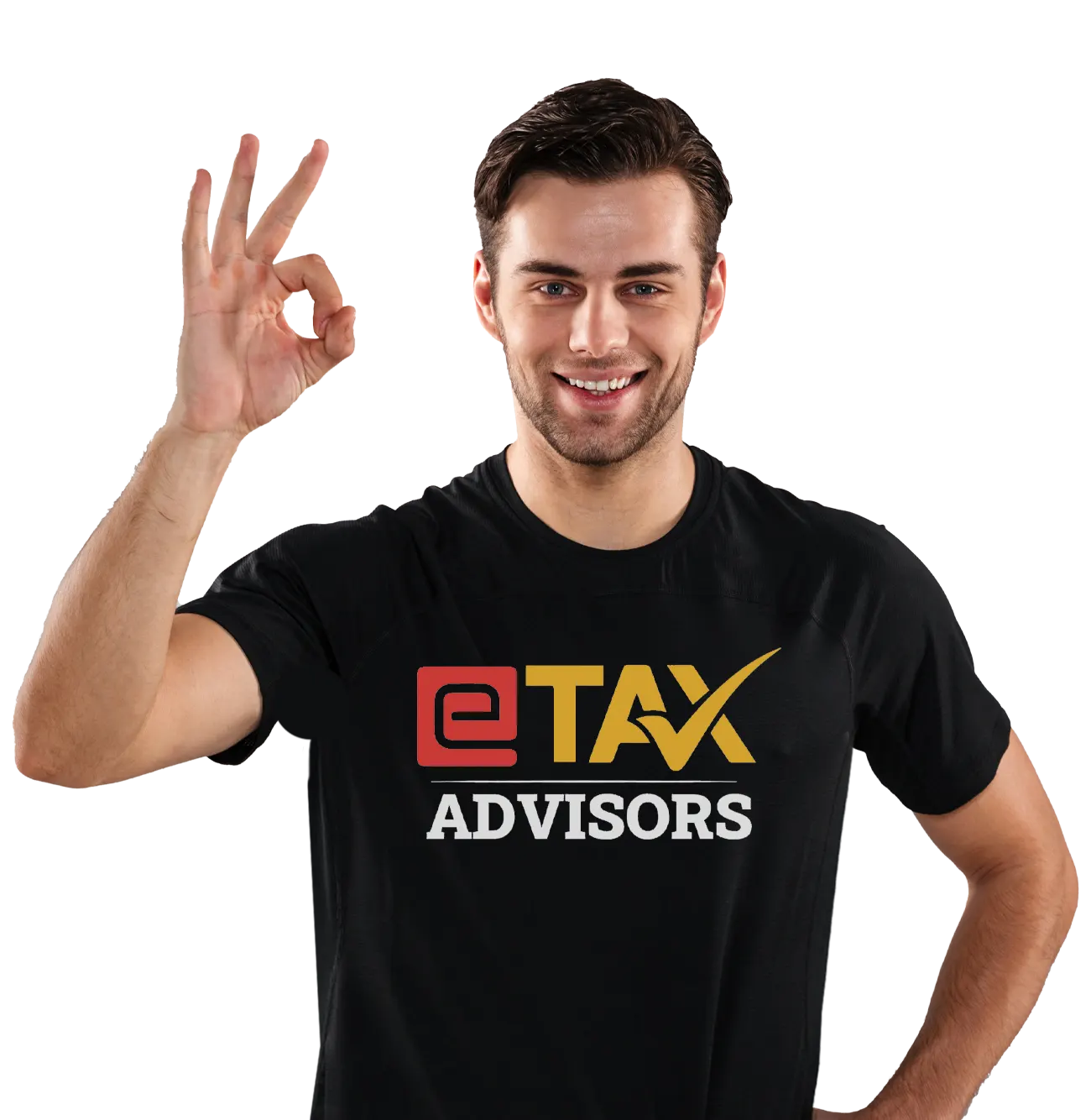 ecomtax adviser (1) ecomtax adviser (1)